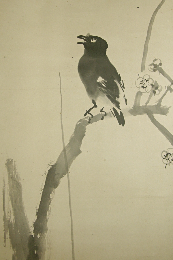 Yatagarasu on Ume Tree Branch