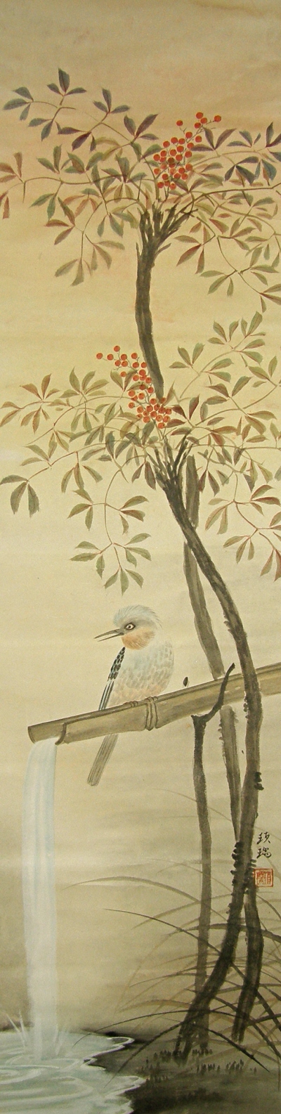 Nanten Nuts, Kawasemi Bird