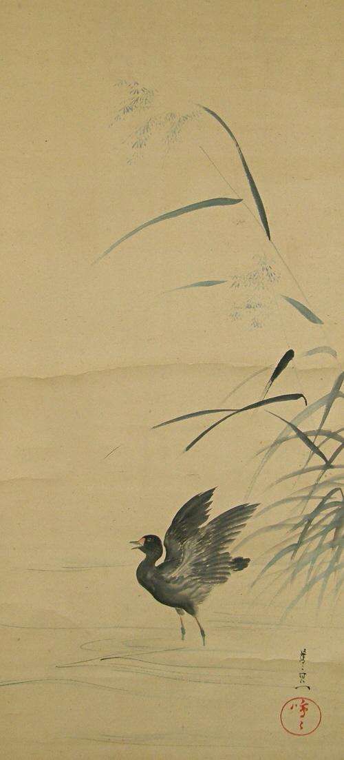 Waterfowl, Reed