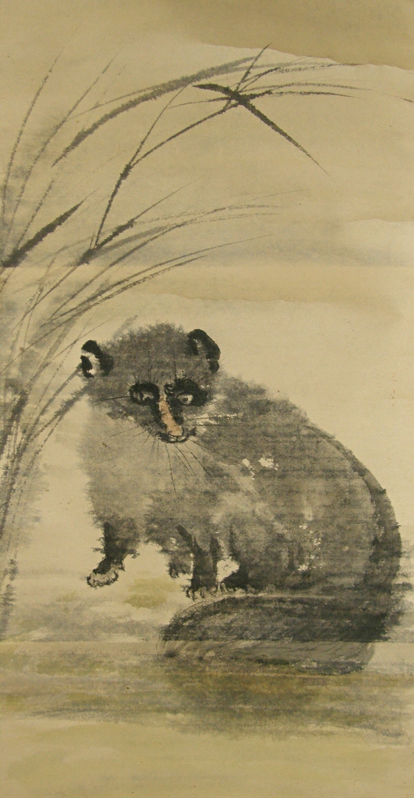 Silver Grass & Tanuki (Raccoon Dog)