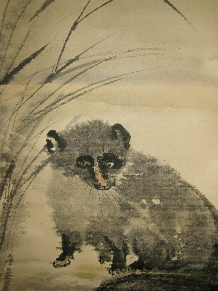 Tanuki (Raccoon Dog)