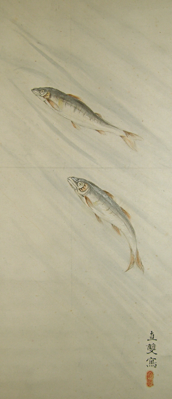 Ayu Fish Jumping Up a Water Fall