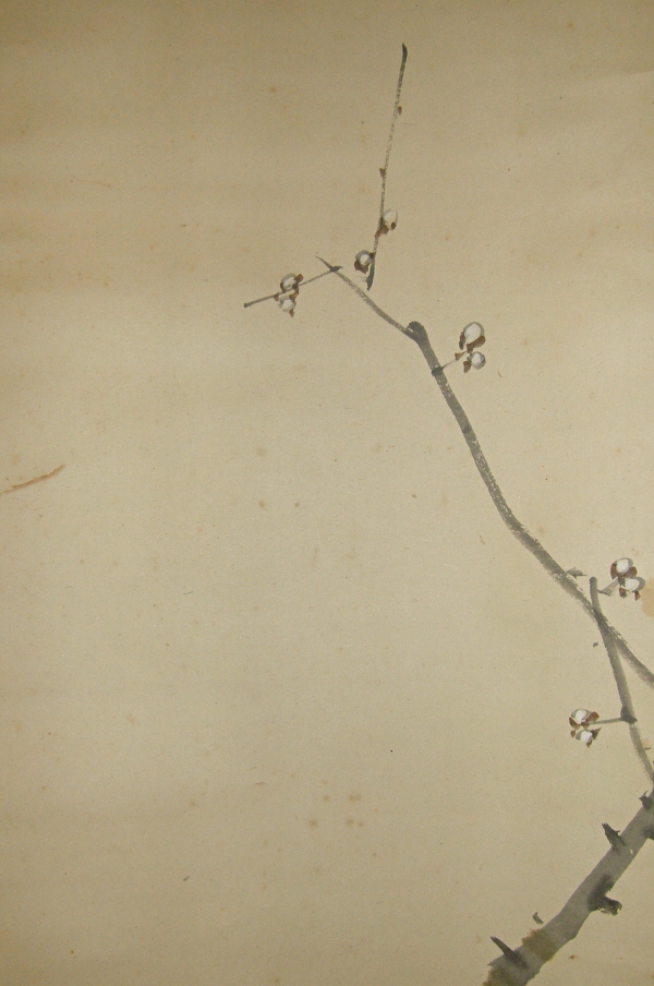 Ume Flowers