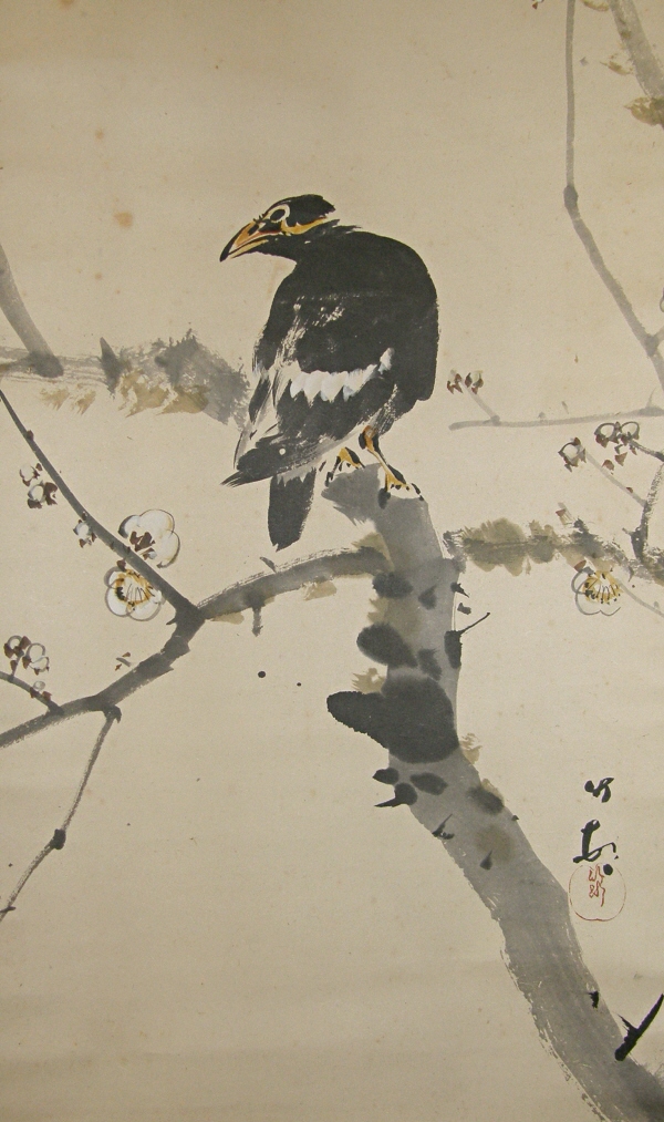 Bird, Japanese Plum Flowers
