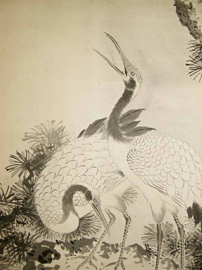 Couple of Crane Birds