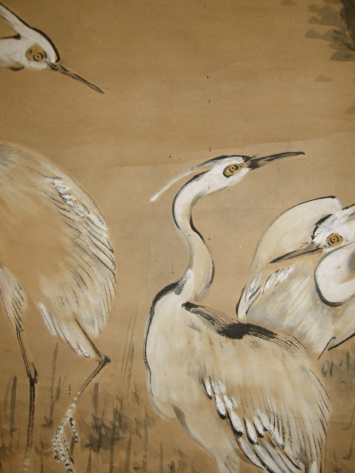 Japanese White Egrets