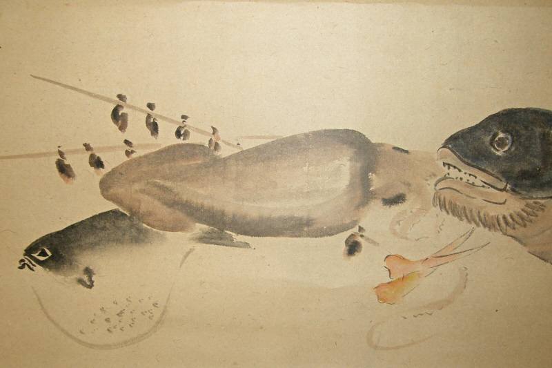 Seafoods (Fugu, Ika & Utsubo Fishes)