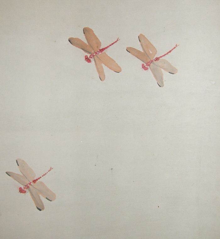 Tomobo (Japanese Dragonfly)