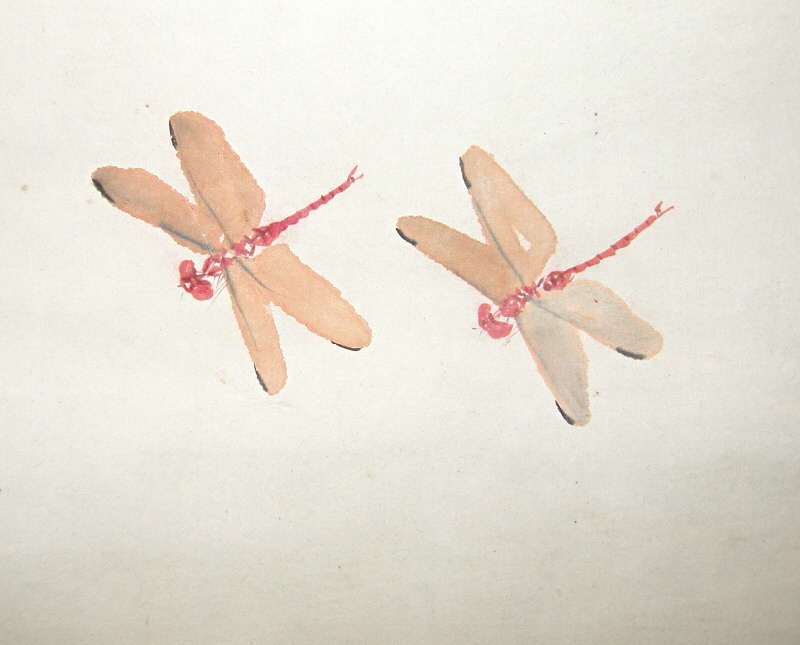 Japanese Dragonflies