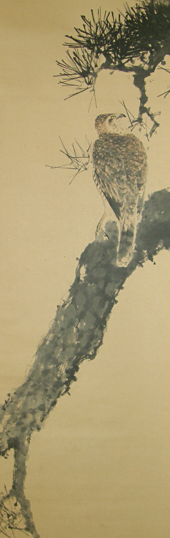 Japanese Hawk drawn with Japanese Brush
