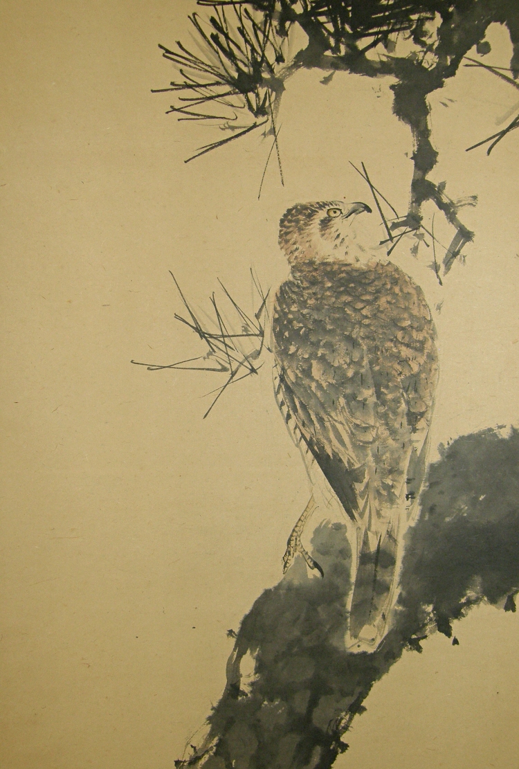 Japanese Taka Bird (Hawk)