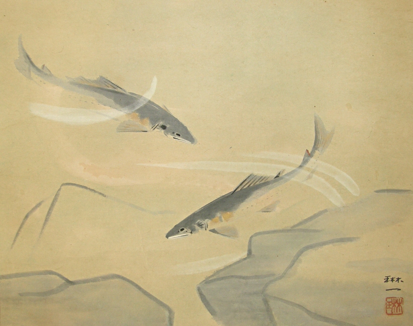 Swimming Japanese Sweetfish