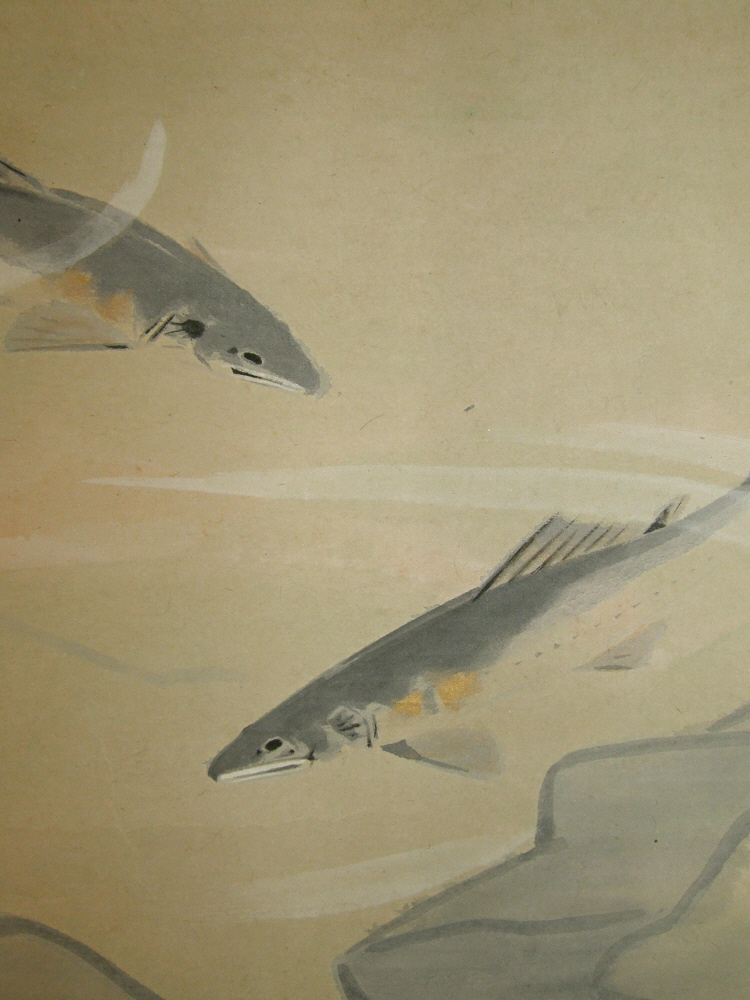 Ayu Fish