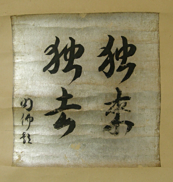 Come Alone, Go Alone