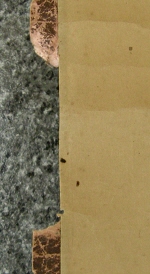 Tear at the top part of the mounting