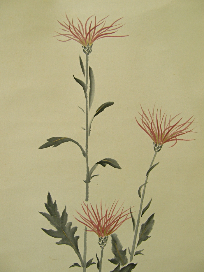 Saga-Giku (Kiku flowers & leaves)