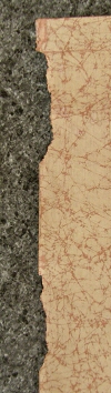 Examples of Tears of the Mounting