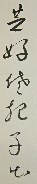 Rakkan Signature of Shikoh