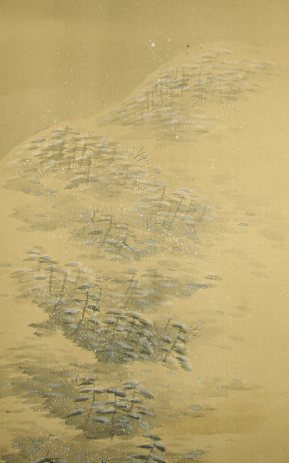 Japanese Pine Grove in the Snow Fall