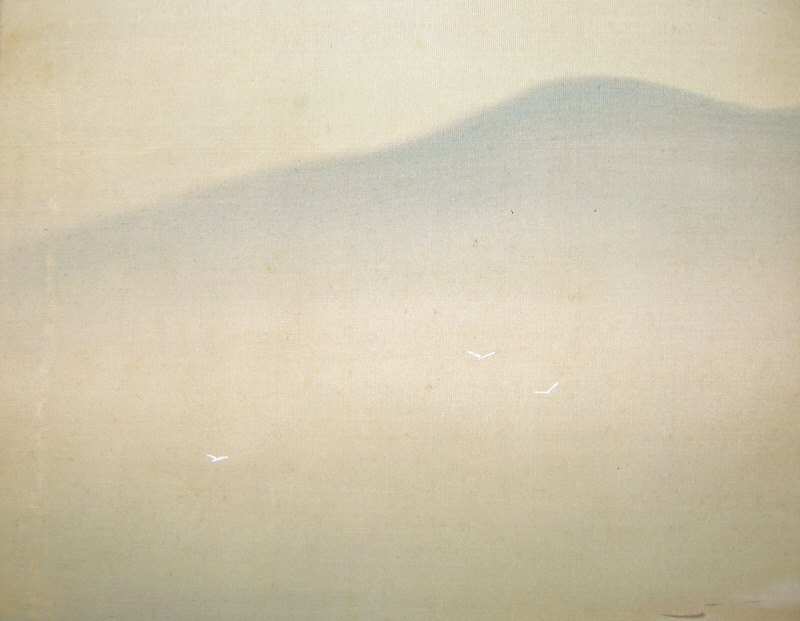 Mountain, Flying Sea Gulls (Kamome Birds)