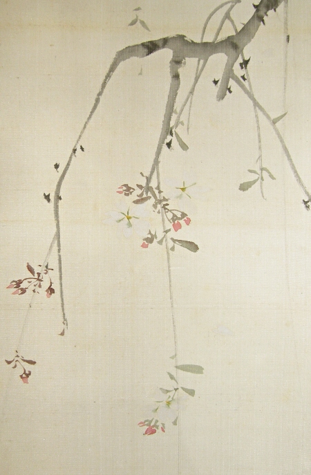 Ume (Japanese Plum) Flowers