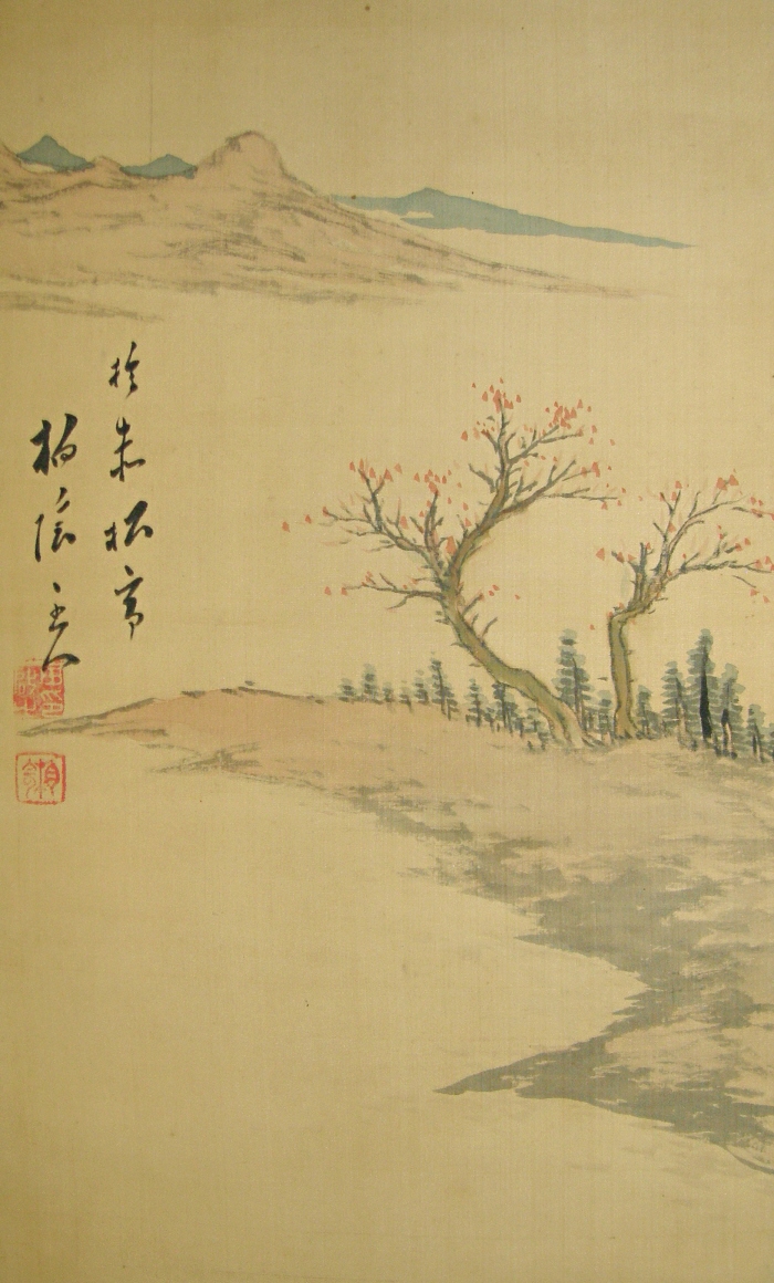 Nanga Landscape View Picture