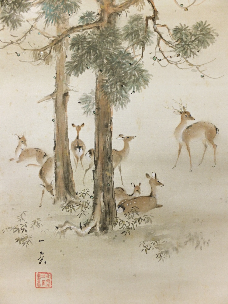 Japanese Deers (Shika)