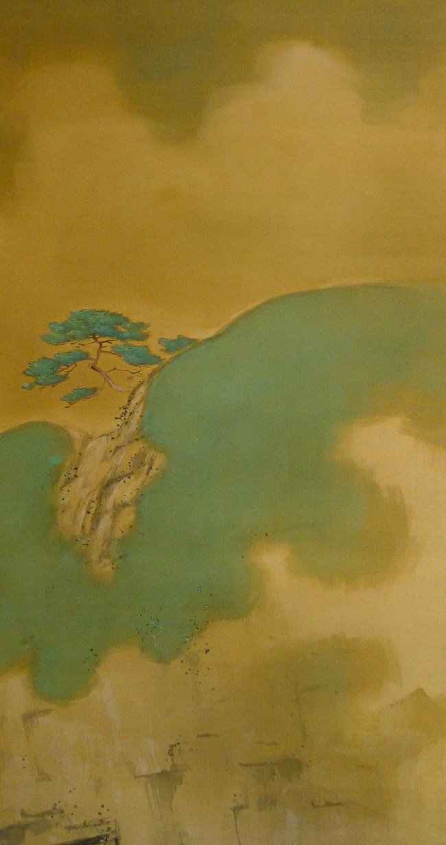 Matsu Japanese Pine Tree