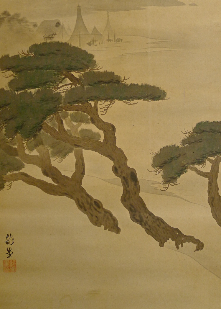 Matsu Japanese Pine Tree