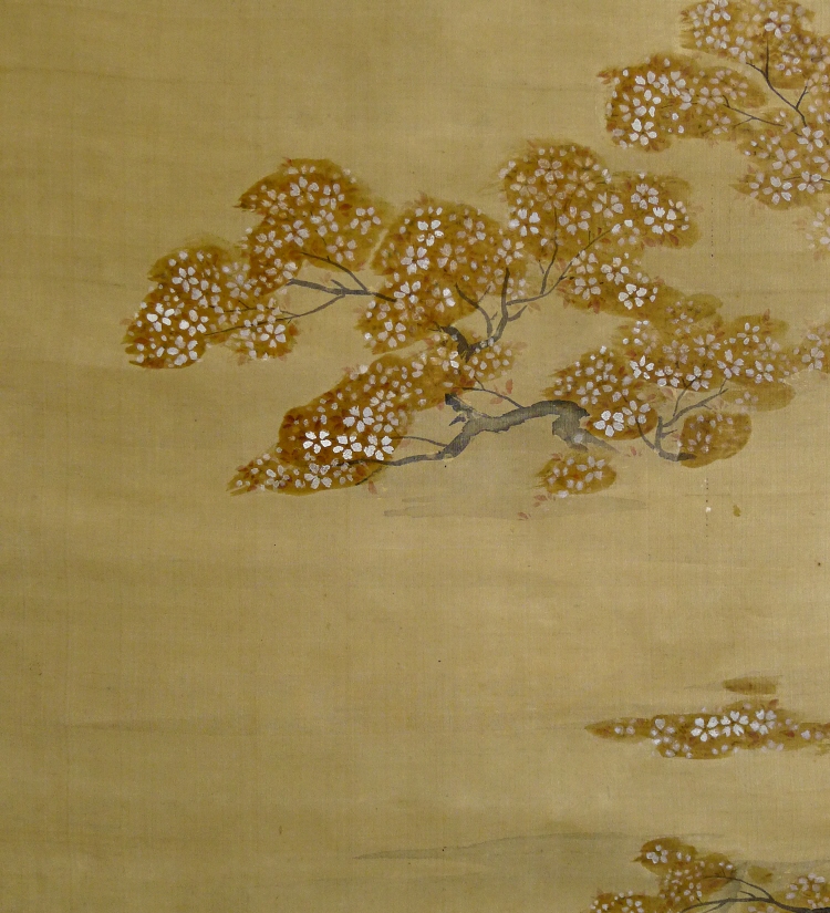 Sakura Cherry Flowers at Night