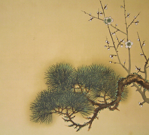 Japanese pine and apricot tree