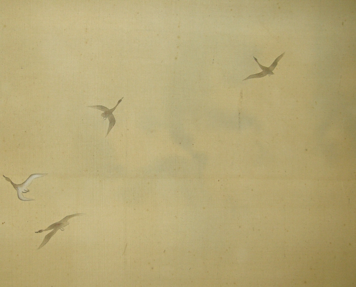 Wild Geese broke formation