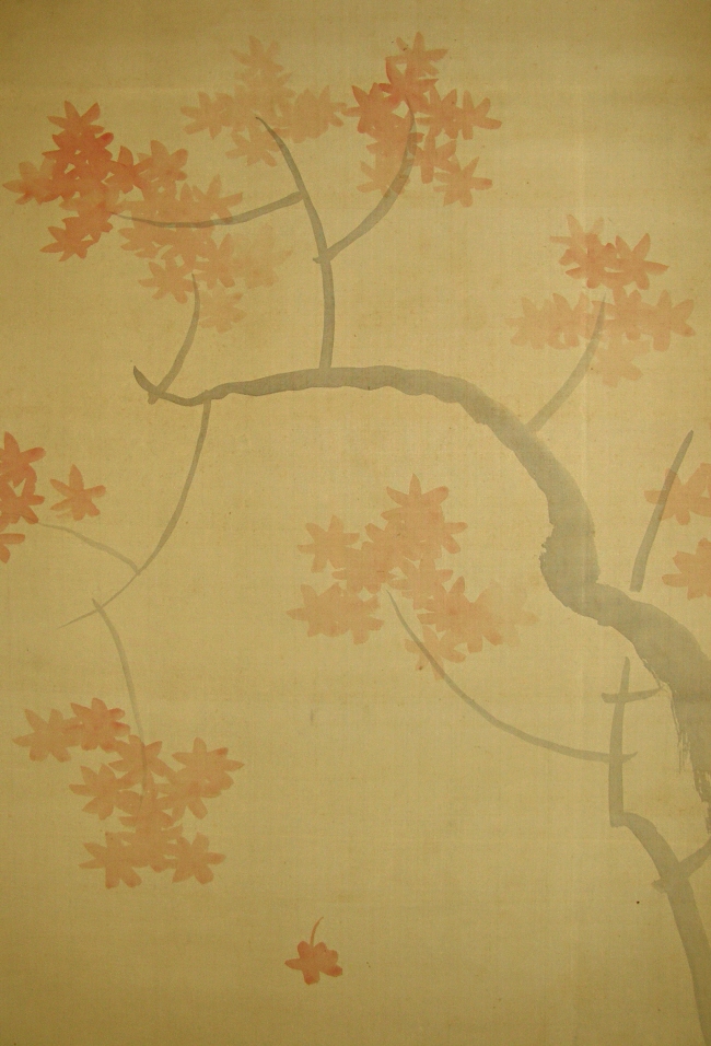 Momiji Tree (Japanese Red Maple)