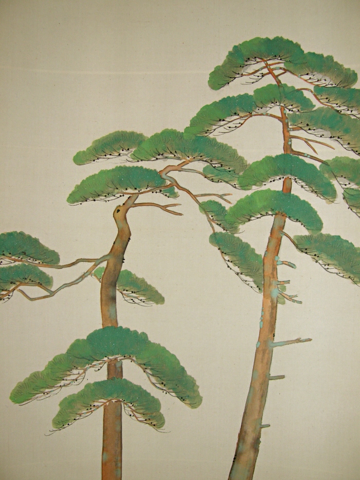 Matsu Tree (Japanese Pine)