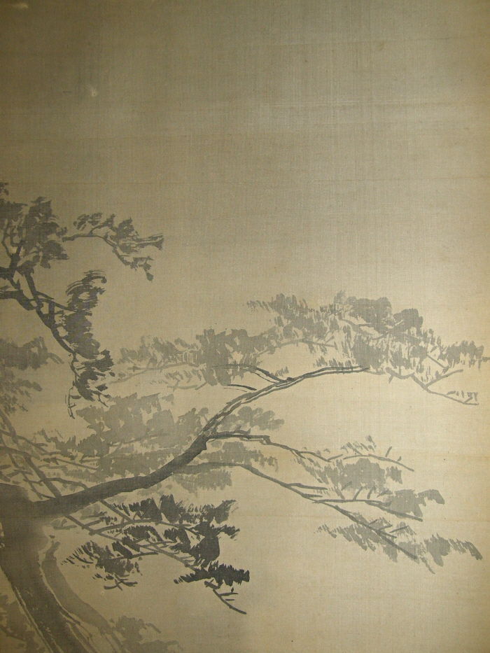 Matsu Tree (Japanese Pine)