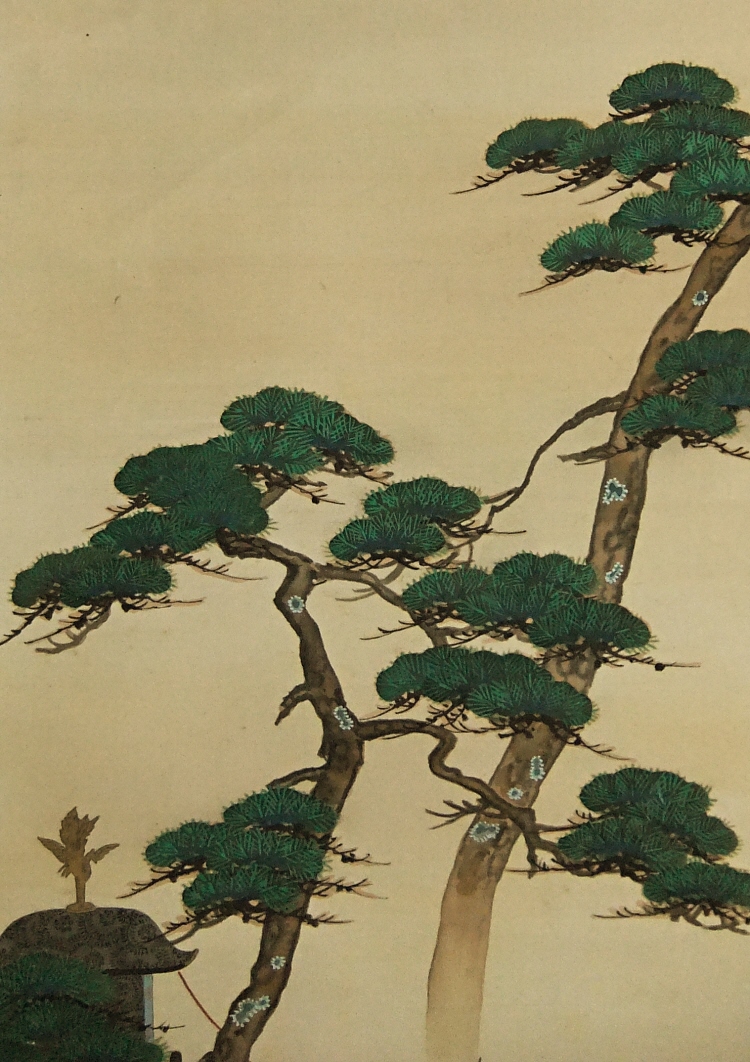 Matsu Needles (Japanese Pine Tree)