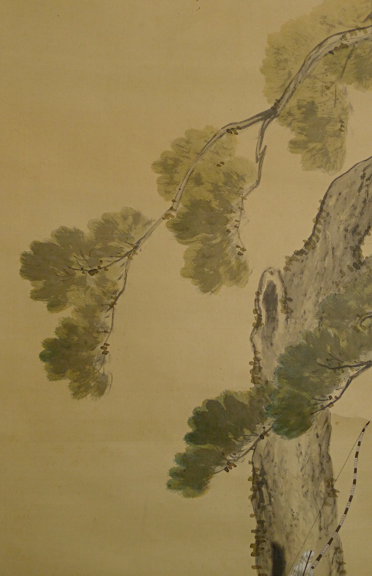 Matsu Japanese Pine Tree