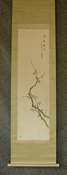 [ Ume Tree ] Japanese Apricot Tree and Flowers