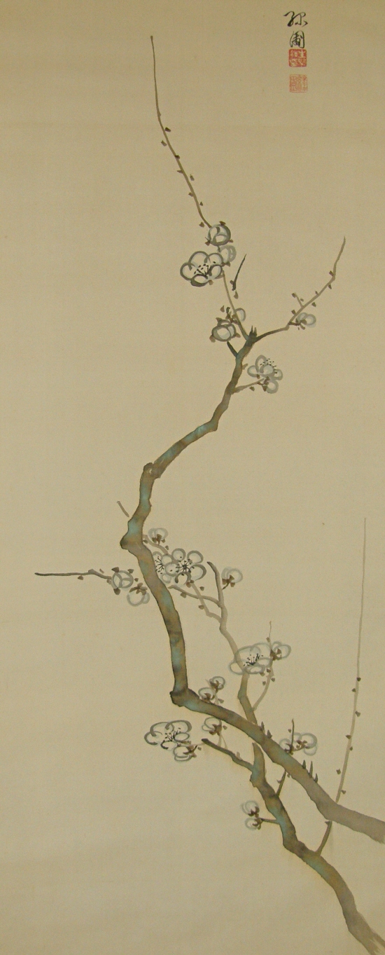 Japanese Apricot Flowers