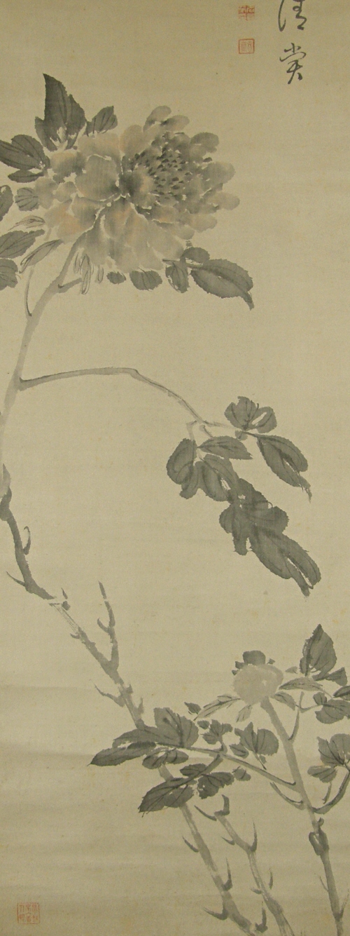 Japanese Botan Flower