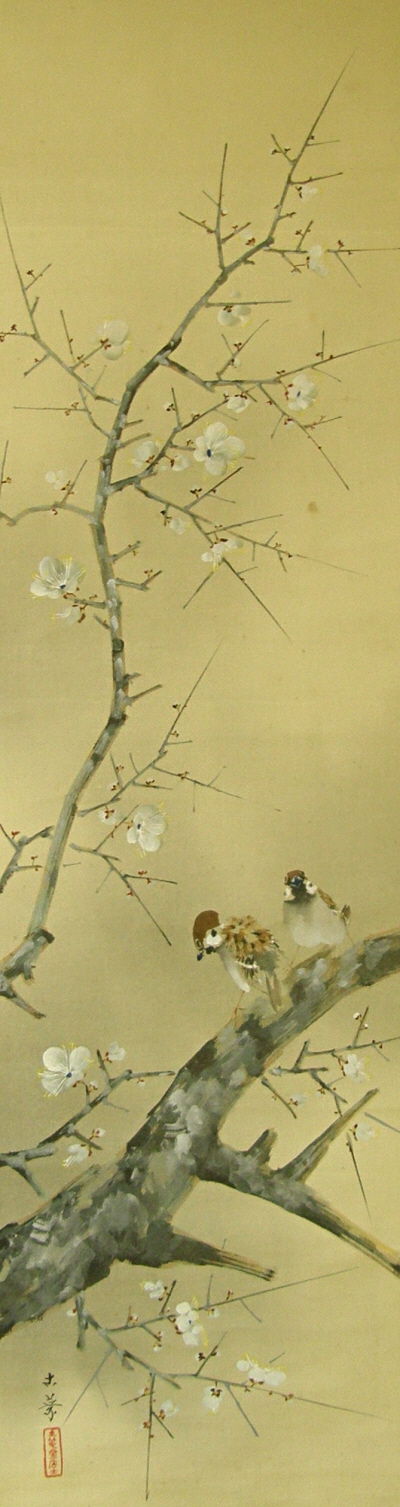 Japanese Apricot Tree