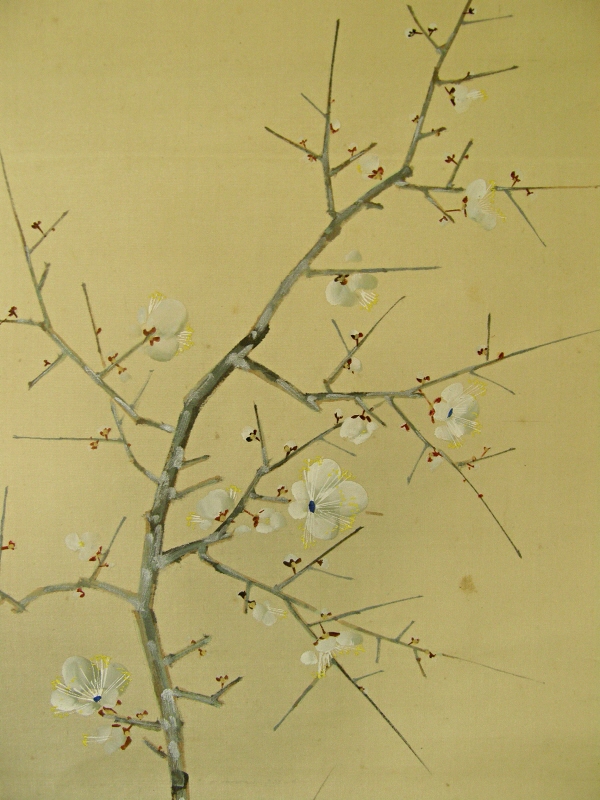 Ume Flowers