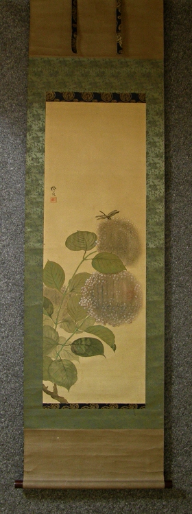 [ Hydrangea and Dragonfly ]