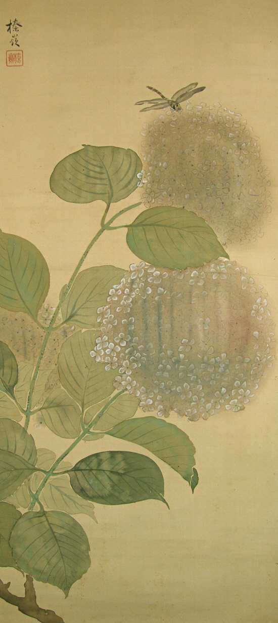 Hydrangea and Dragonfly