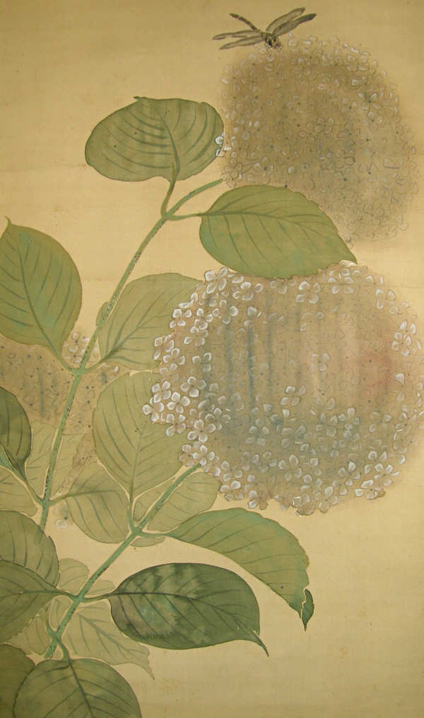 Ajisai Flowers and Leaves (Hydrangea)