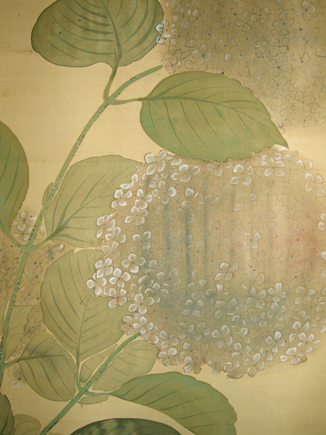 Hydrangea Flower & Leaf