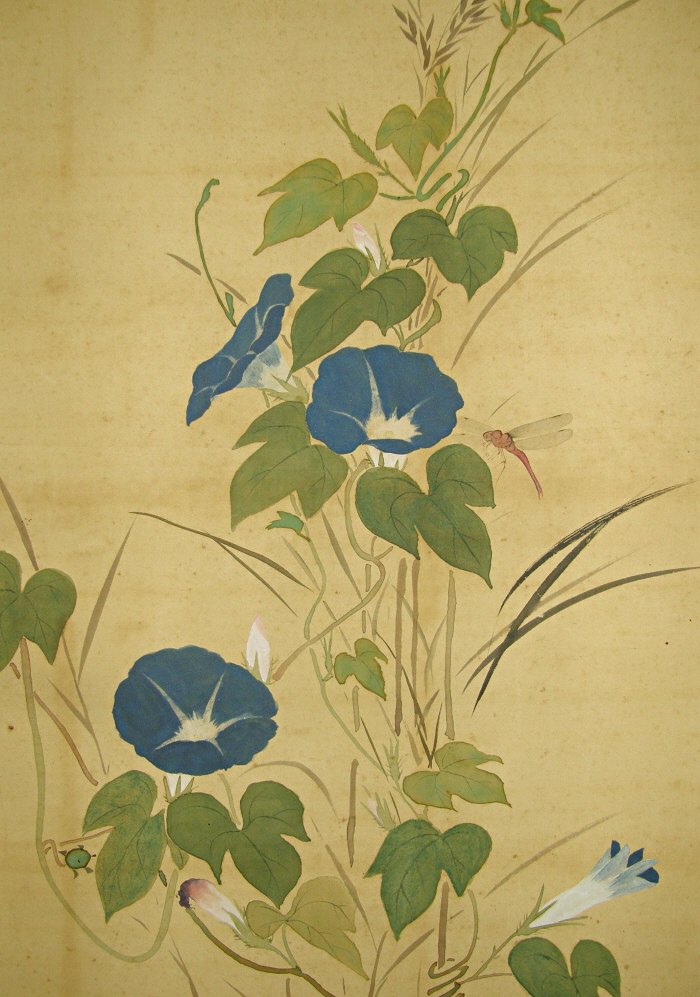 Ss Morning Glory Dragonfly Japanese Antique Hanging Scroll Painting