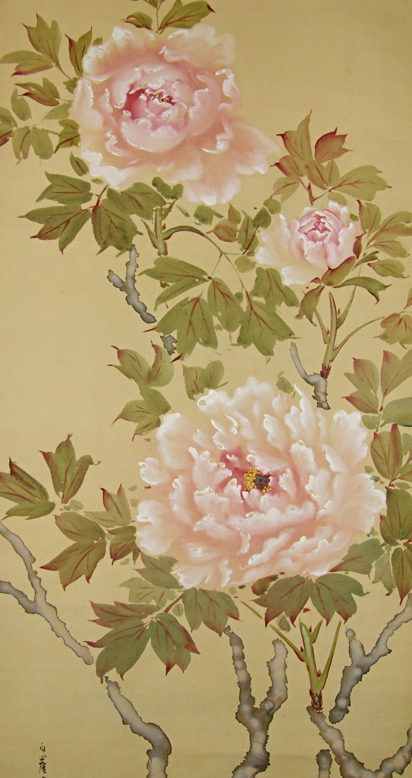 Botan (Japanese Tree Peony)