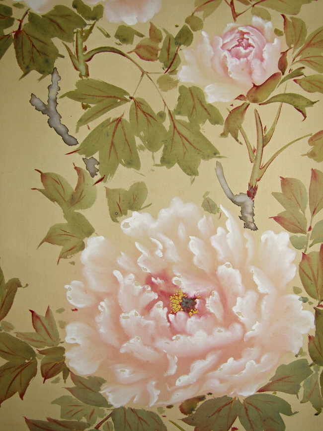 Peony Flowers