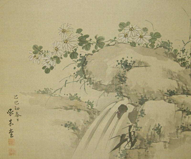 Kiku Flowers on the Rock